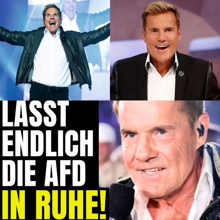 Sharepic mit drei Fotos von Dieter Bohlen und dem Text Lasst endlich die AfD in Ruhe