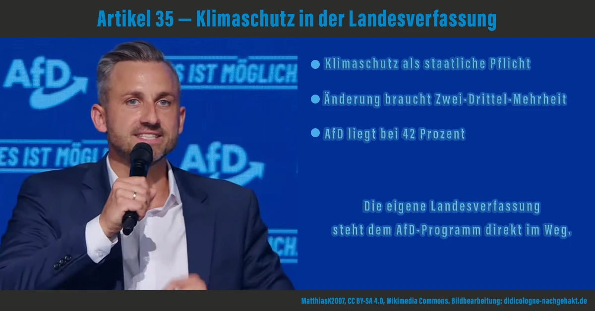 Artikel 35 Landesverfassung Sachsen-Anhalt: Klimaschutz staatliche Pflicht, Zwei-Drittel-Mehrheit nötig, AfD bei 42 Prozent