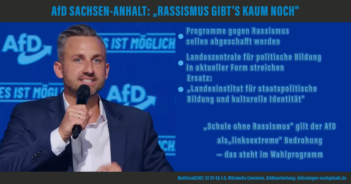 AfD Sachsen-Anhalt: Rassismus gibt es kaum noch — Programme abschaffen, Landeszentrale für politische Bildung ersetzen