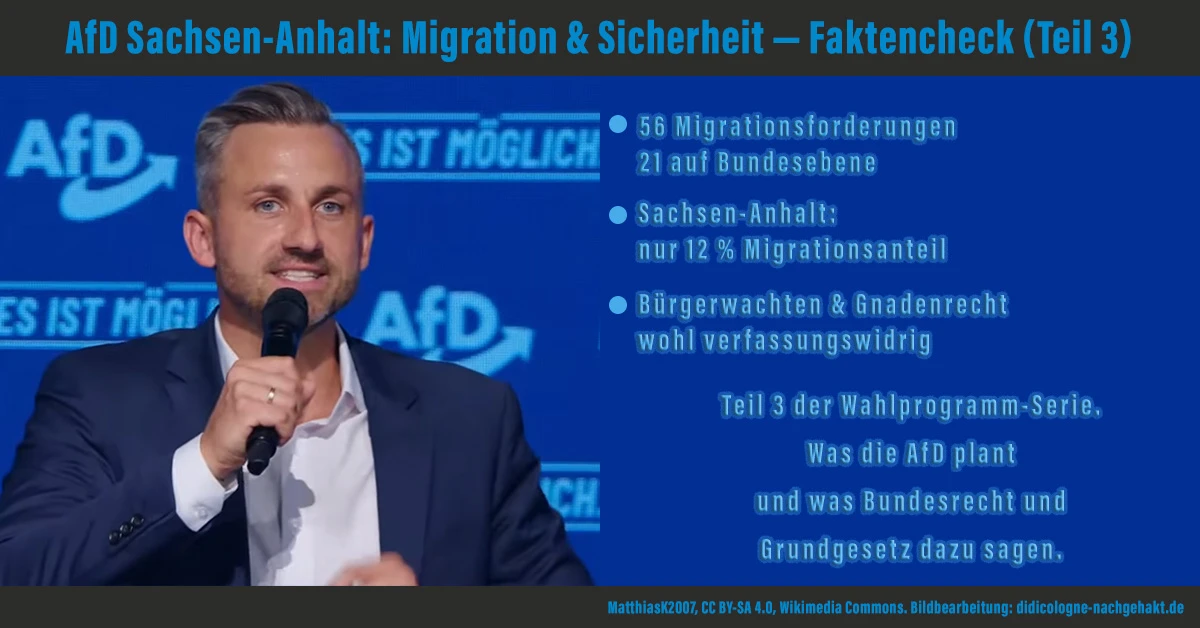 AfD Sachsen-Anhalt: 56 Migrationsforderungen, 21 nur Bundesebene; Bürgerwachten und Gnadenrecht wohl verfassungswidrig — Faktencheck Teil 3