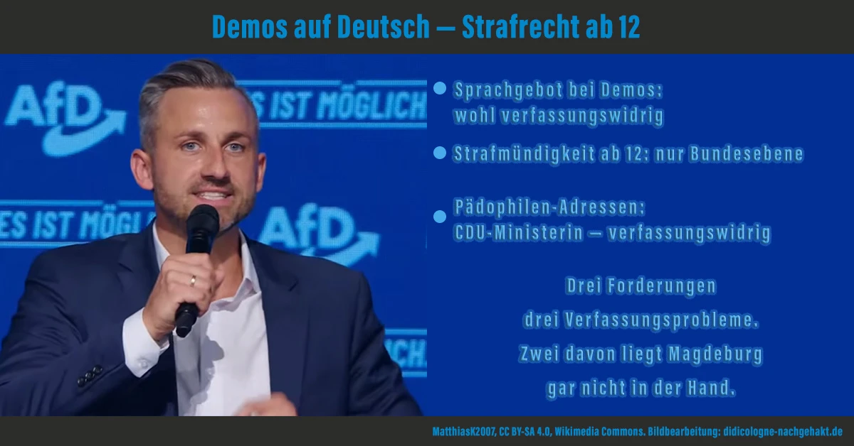 AfD: Demos nur auf Deutsch (wohl verfassungswidrig), Strafmündigkeit ab 12 (Bundesebene), Pädophilen-Adressen veröffentlichen — CDU-Ministerin: verfassungswidrig